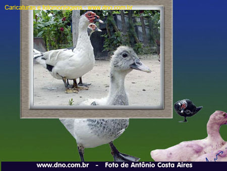 BaresFotomontagens_042
