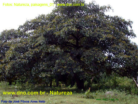 Natureza_0056