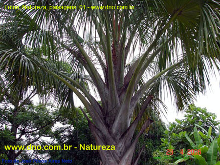 Natureza_0060