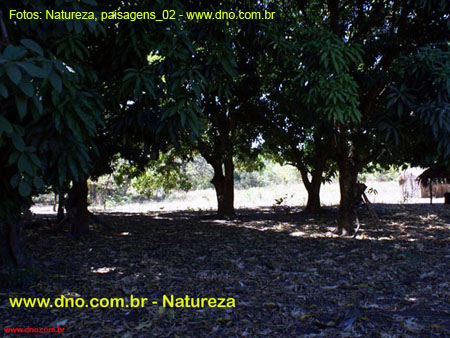 Natureza_0141