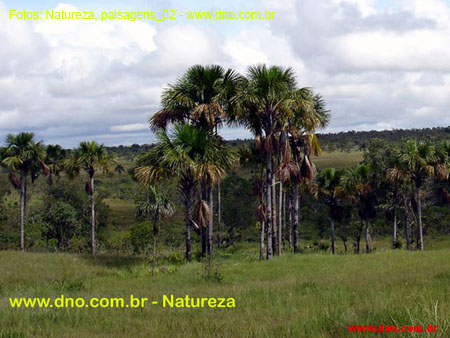 Natureza_0153
