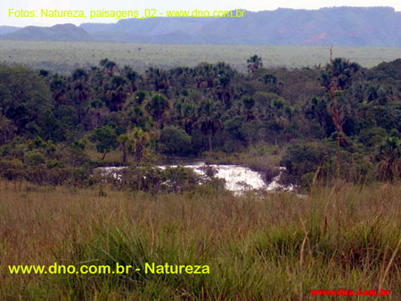 Natureza_0157