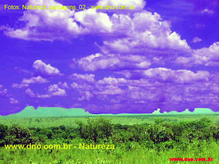 Natureza_0158