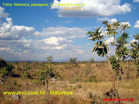 Natureza_0167