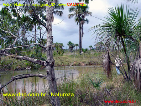 Natureza_0169