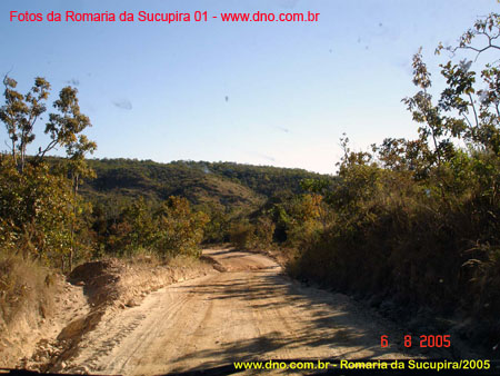 sucupira_2005_0002