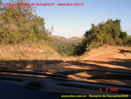 sucupira_2005_0004