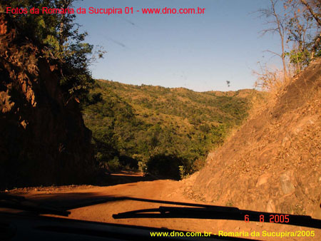 sucupira_2005_0005