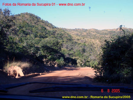 sucupira_2005_0006