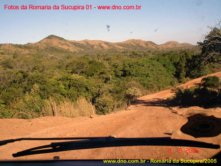 sucupira_2005_0008