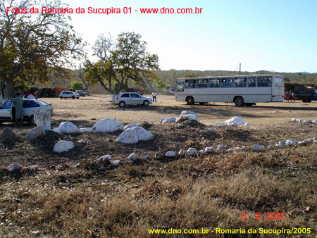sucupira_2005_0015