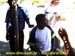sucupira_2004_071