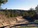 sucupira_2005_0001