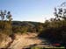 sucupira_2005_0002