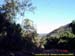 sucupira_2005_0003