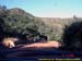 sucupira_2005_0006
