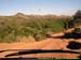sucupira_2005_0008