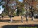 sucupira_2005_0013