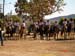 sucupira_2005_0090