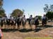 sucupira_2005_0097