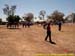 sucupira_2005_0111