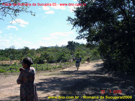sucupira_2006_0058