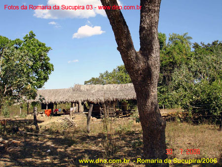 sucupira_2006_0060