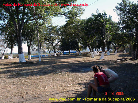 sucupira_2006_0072