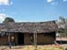 sucupira_2006_0059