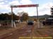 sucupira_2006_0082