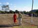 sucupira_2006_0087