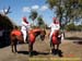 sucupira_2006_0188