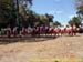 sucupira_2006_0189
