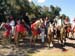 sucupira_2006_0193