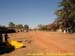 sucupira_2006_0202
