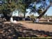 sucupira_2006_0203