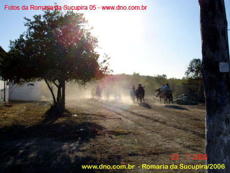 sucupira_2006_0236