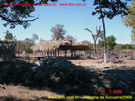 sucupira_2006_0241