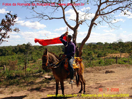 sucupira_2006_0252