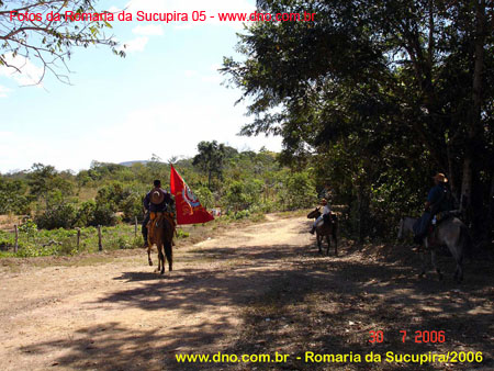 sucupira_2006_0253
