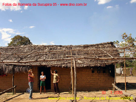 sucupira_2006_0255