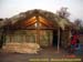 sucupira_2006_0258