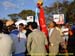 sucupira_2006_0297