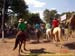 sucupira_2006_0333