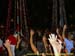 sucupira_2006_0336
