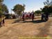 sucupira_2006_0341