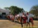 sucupira_2006_0352