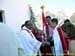 sucupira_2006_0359