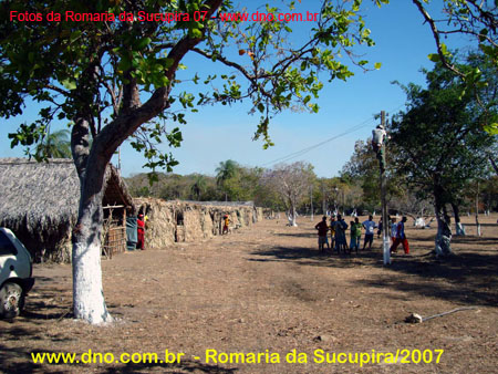 sucupira_2007_0027