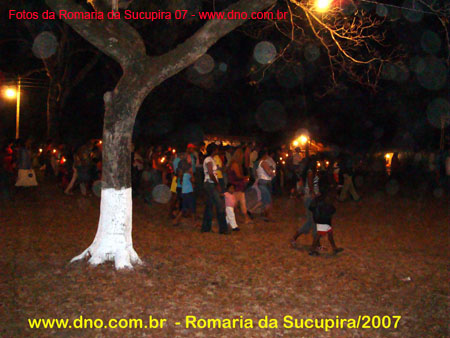 sucupira_2007_0047